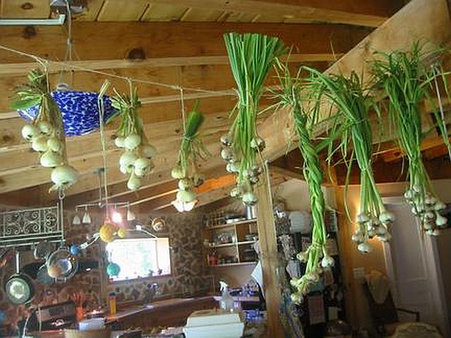 Garlic and onions hanging from the rafters, no problem in a post and beam framed home. Especially if the beams are left exposed. 