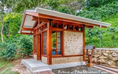Cordwood in Costa Rica, Oh My!